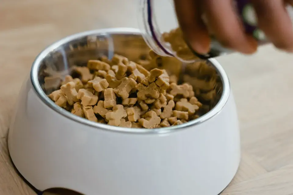 A hand breaking a soft dog chew into small crumbs over a bowl of food