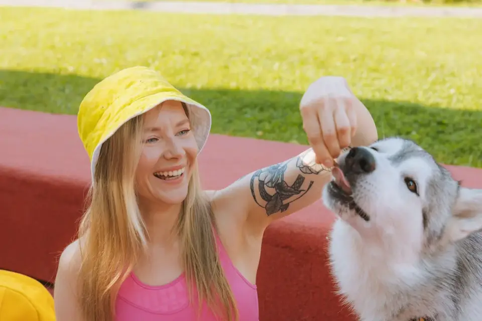 A person offering a single blueberry to a small dog outdoors