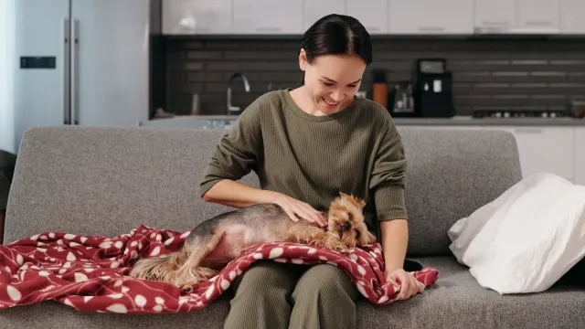 A small Yorkshire Terrier and a white Maltese sitting side by side indoors