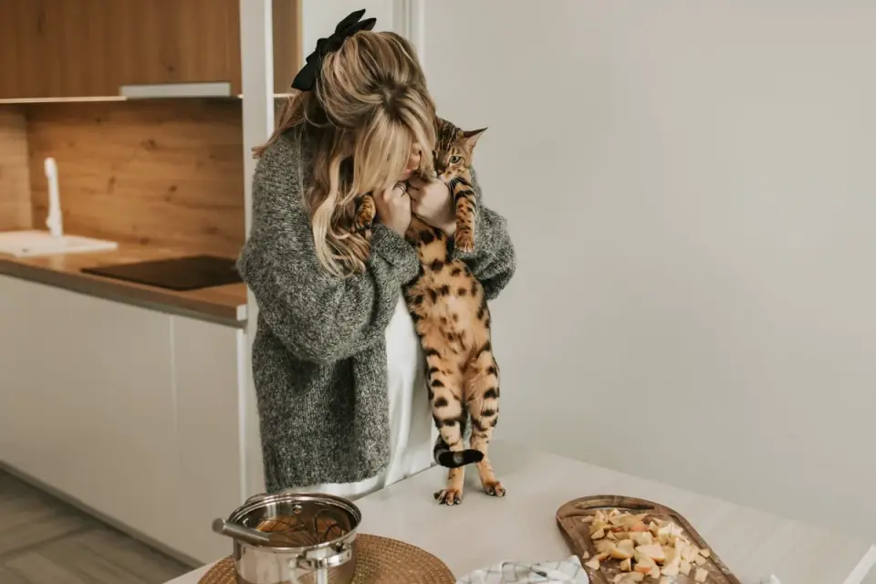 A veterinarian gently examining a dog&#x27;s abdomen