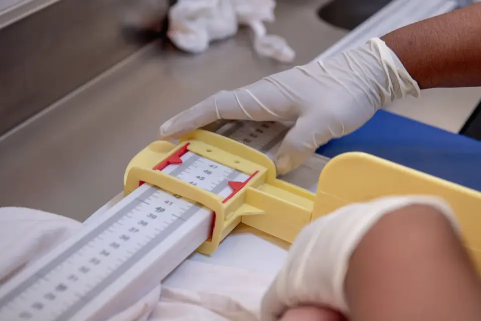 A veterinarian gently examining a dog&#x27;s hip and rear leg mobility on an exam table
