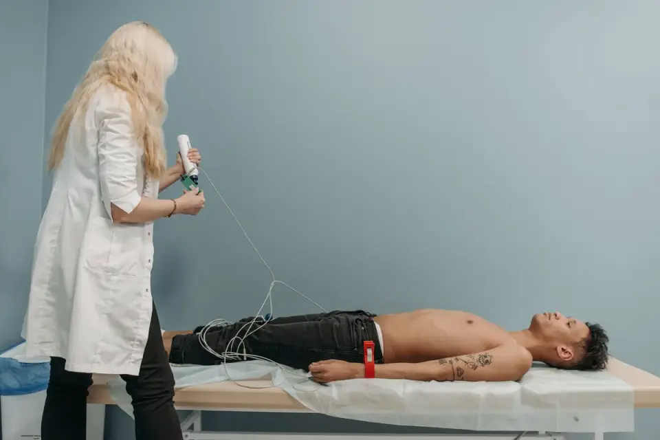 A veterinarian gently palpating a dog&#x27;s abdomen during a routine exam