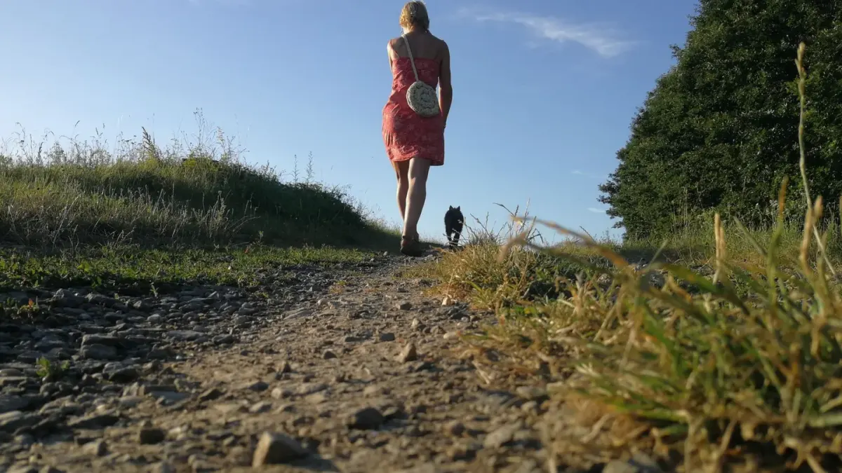 Dog beside a cycling path