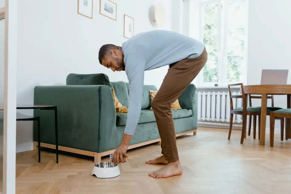 Dog eating from a bowl at home