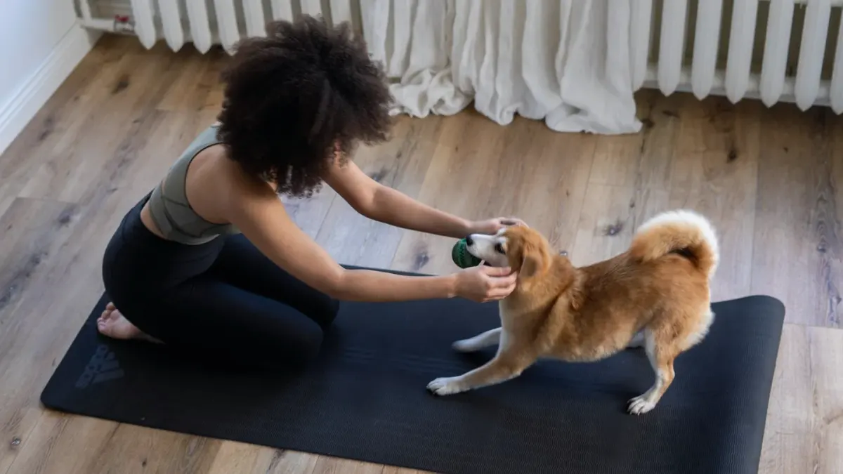 Dog eating from bowl at home