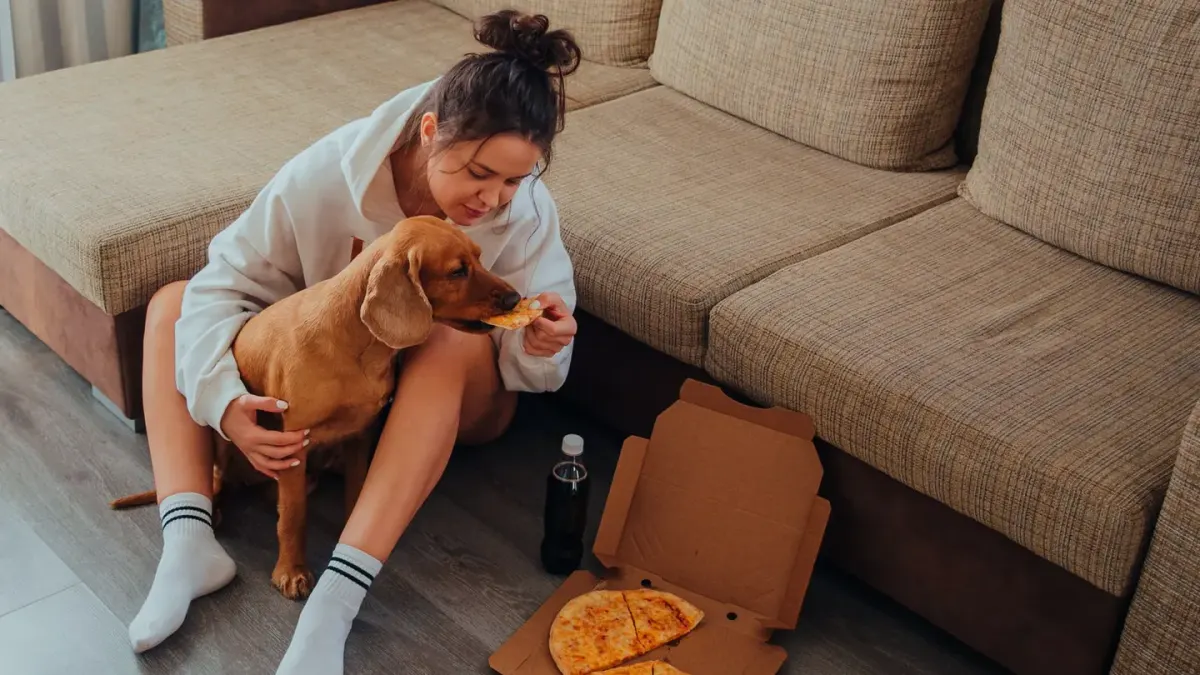 Dog eating from bowl at home
