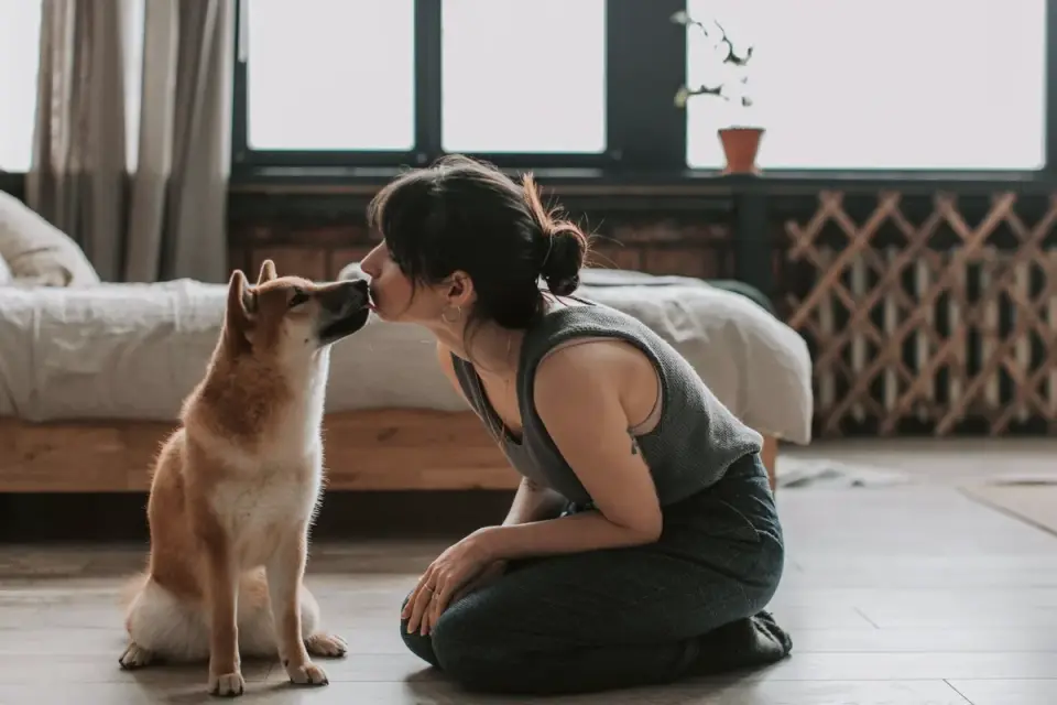 Dog eating from bowl at home