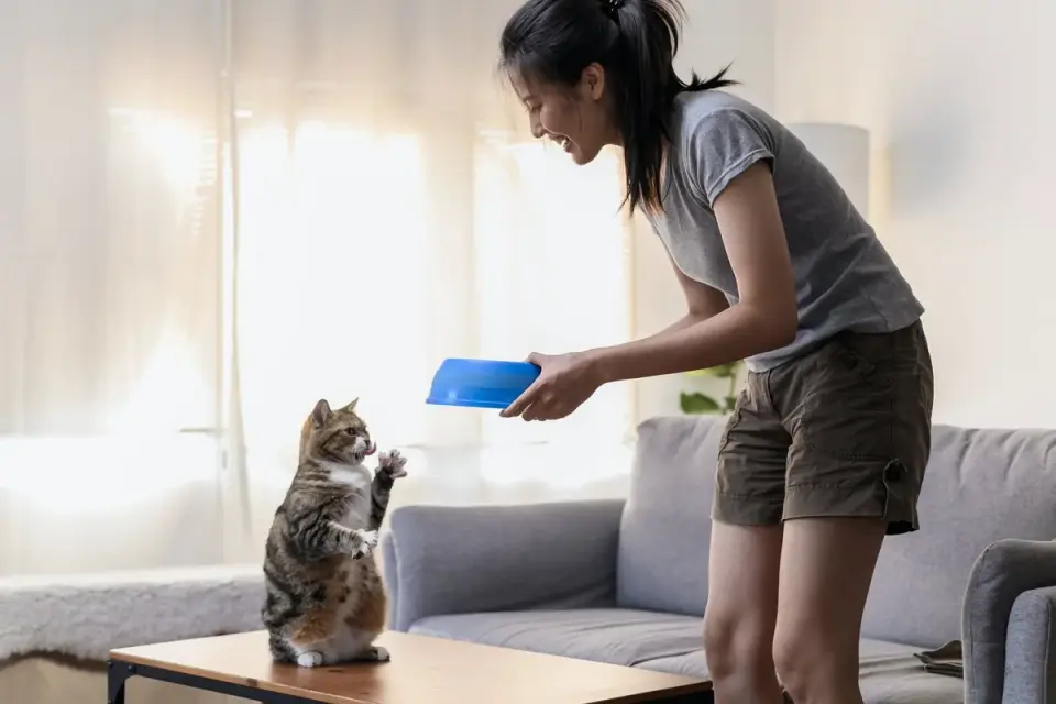 Dog eating from bowl at home