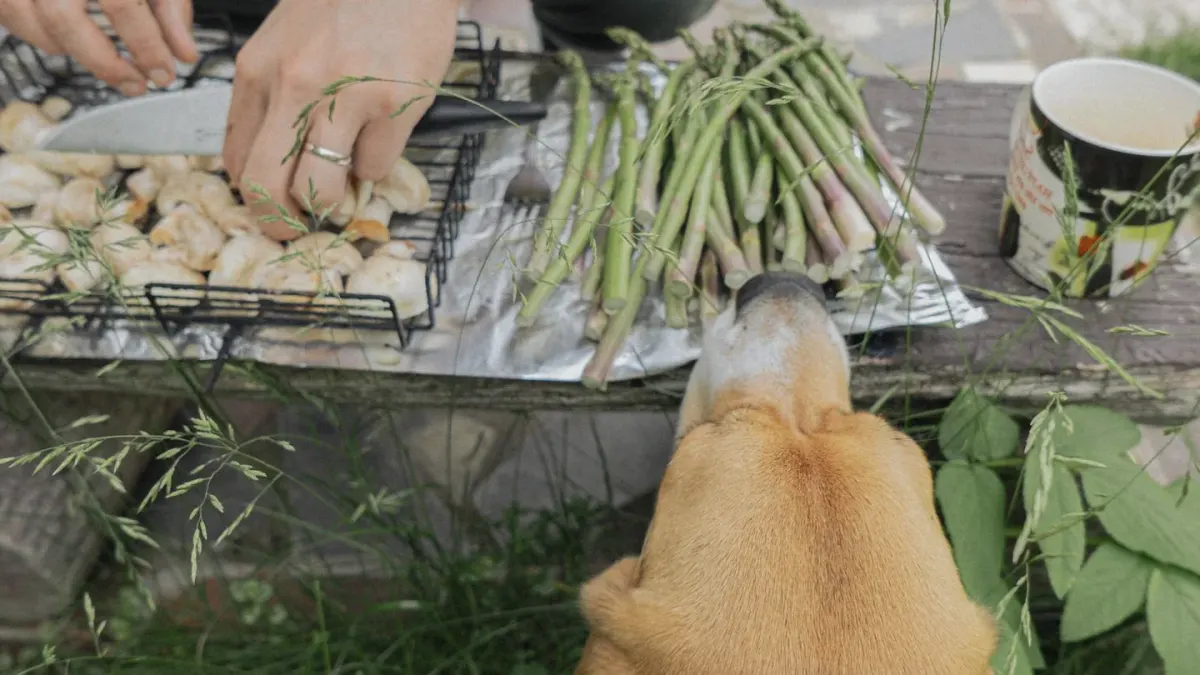 Dog eating outdoors bowl