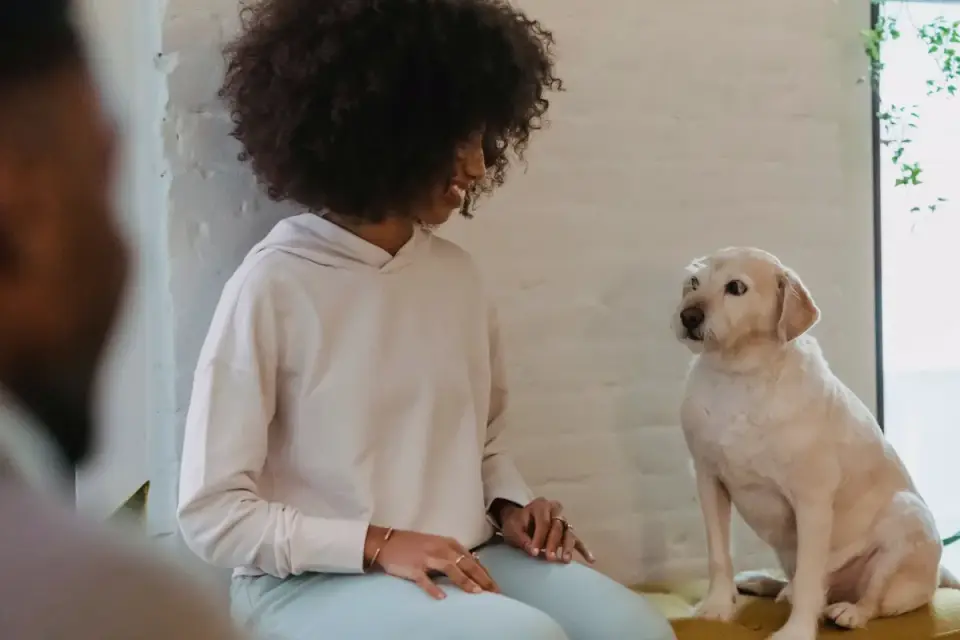 Dog in a kitchen with an owner