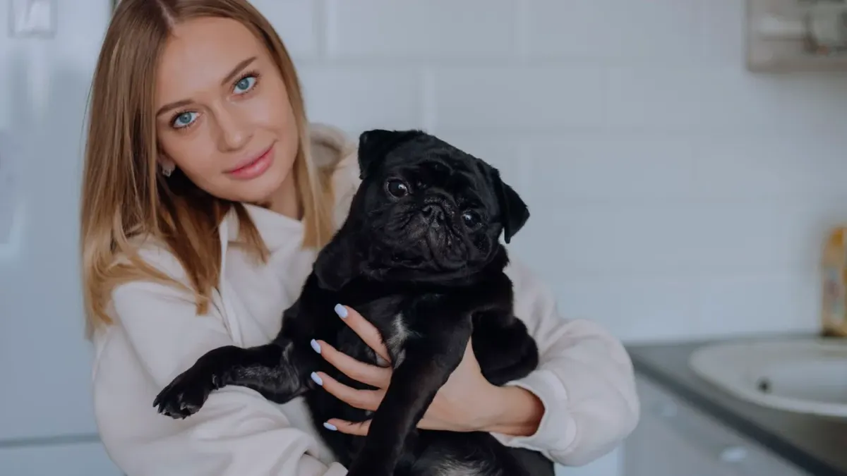Dog in a kitchen with an owner
