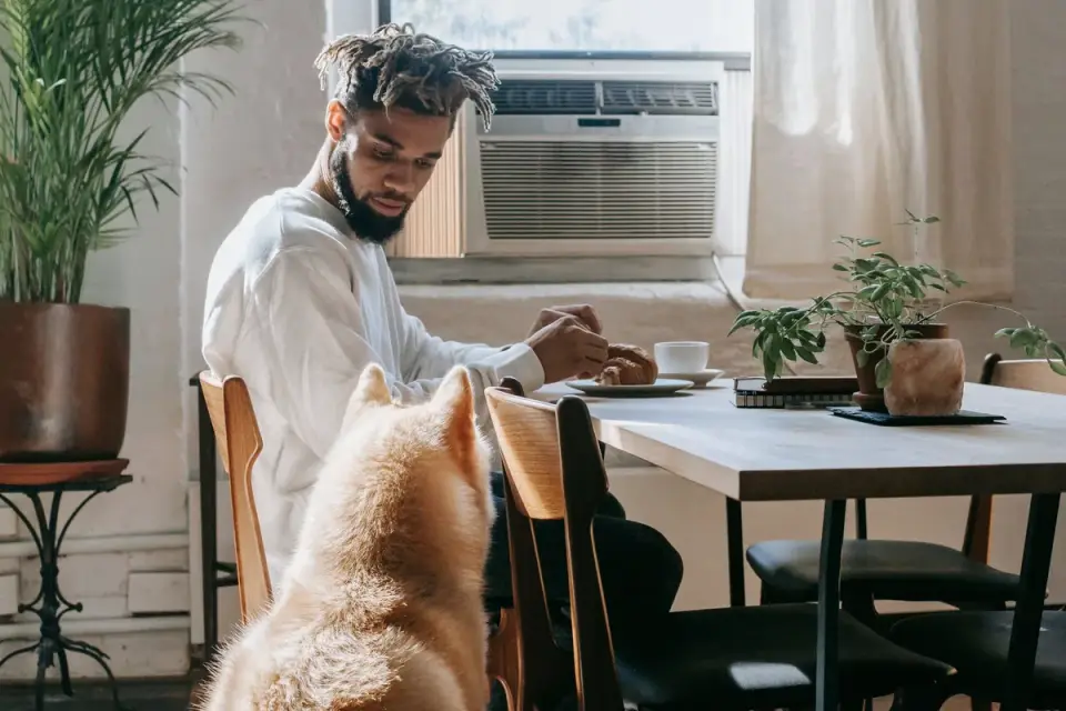 Dog in kitchen with owner