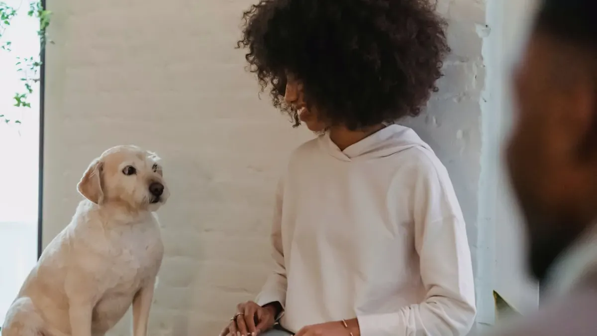 Dog in kitchen with owner