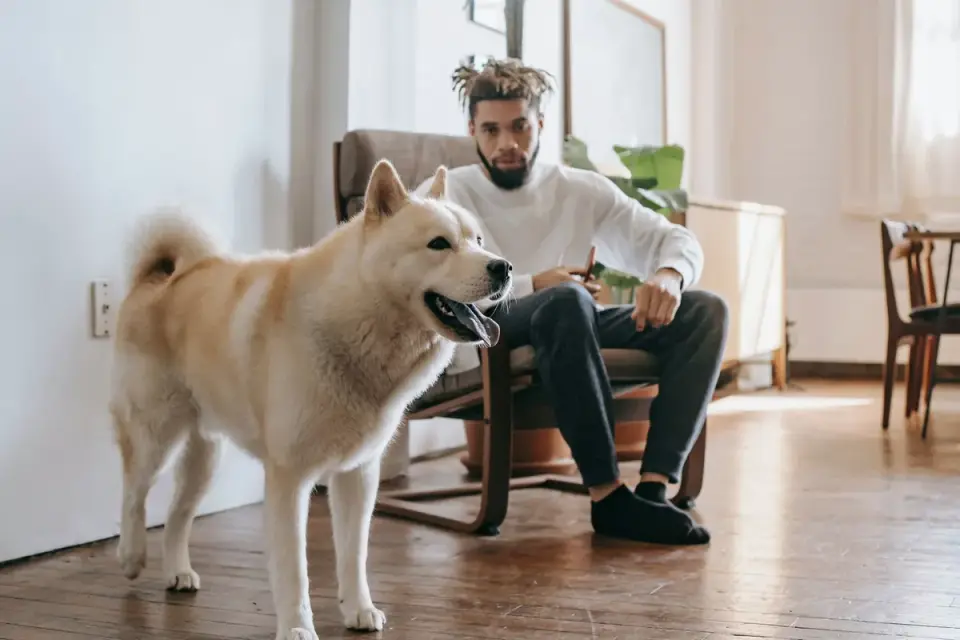 Dog in kitchen with owner