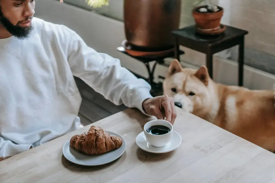 Dog in kitchen with owner