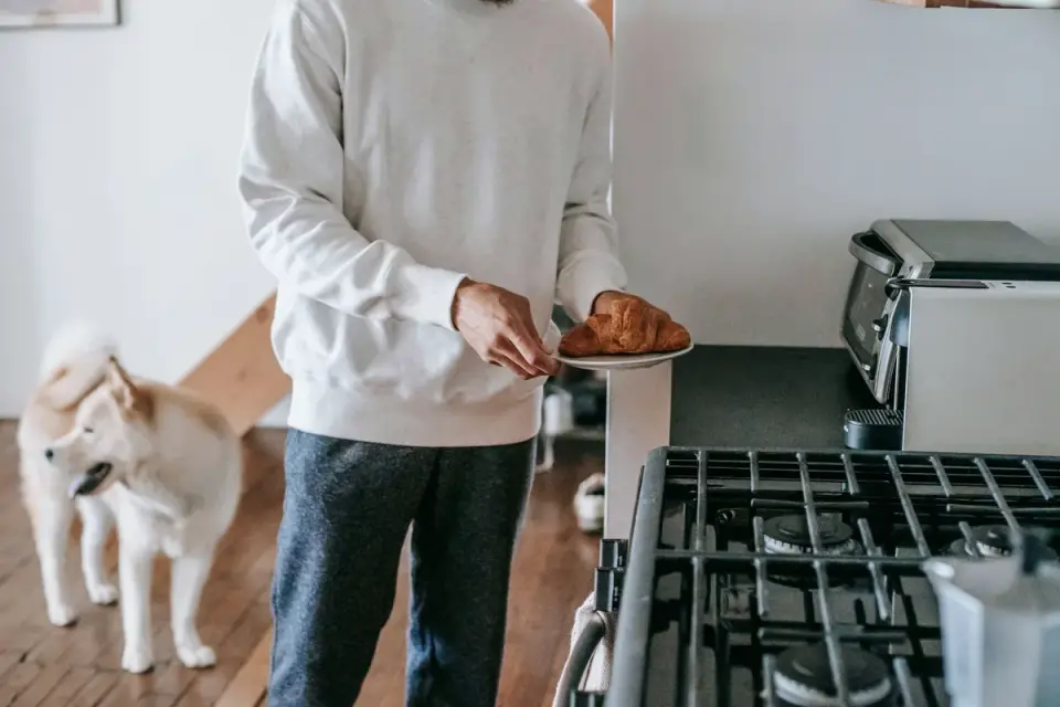 Dog in kitchen with owner