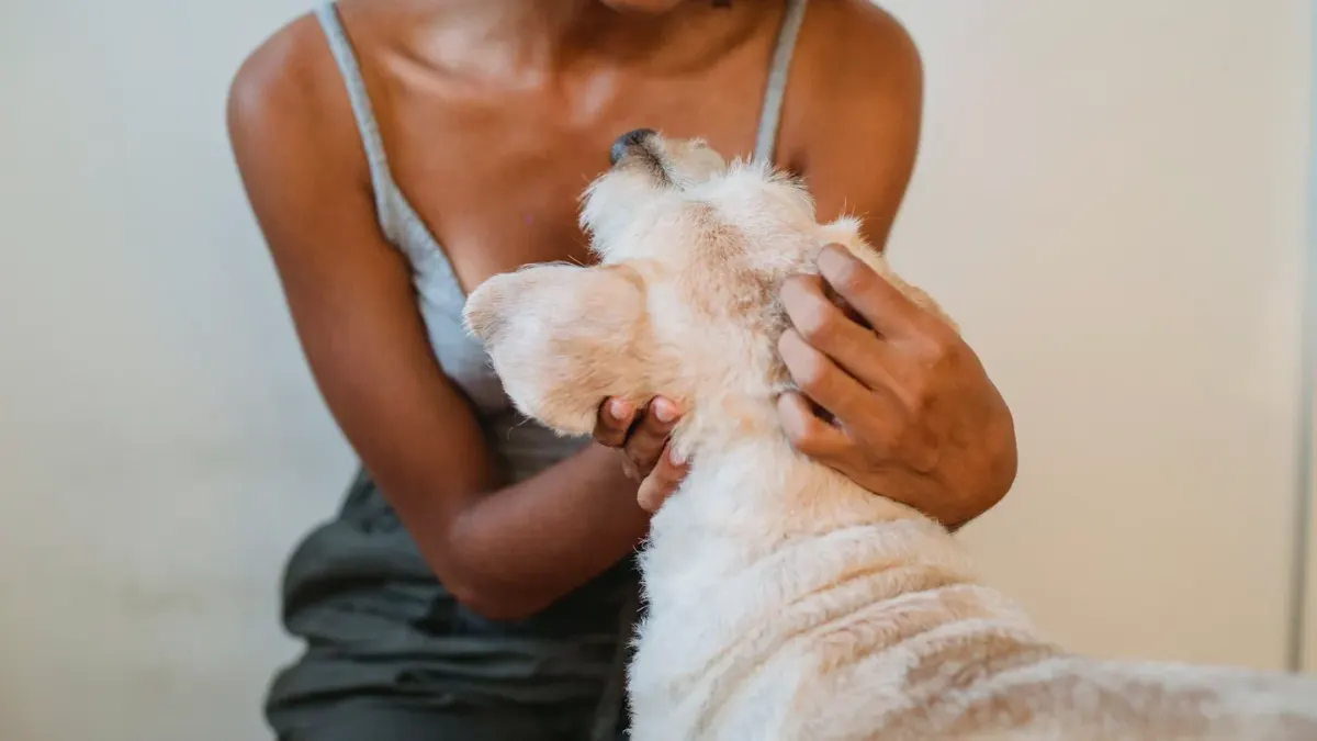 Dog in kitchen with owner