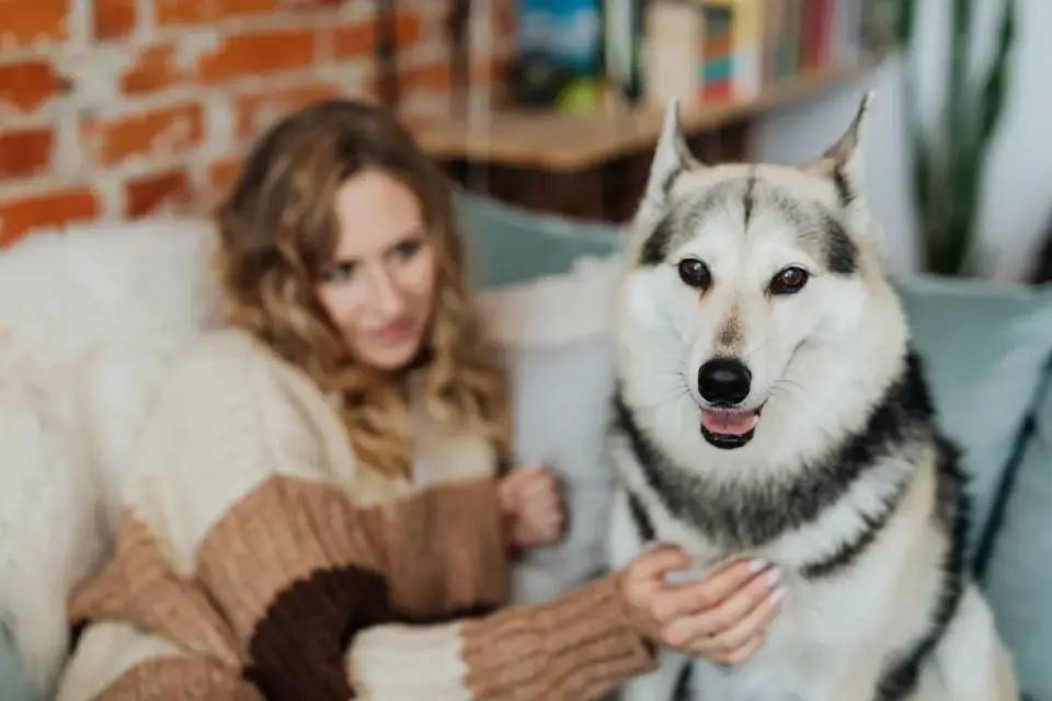Dog in kitchen with owner