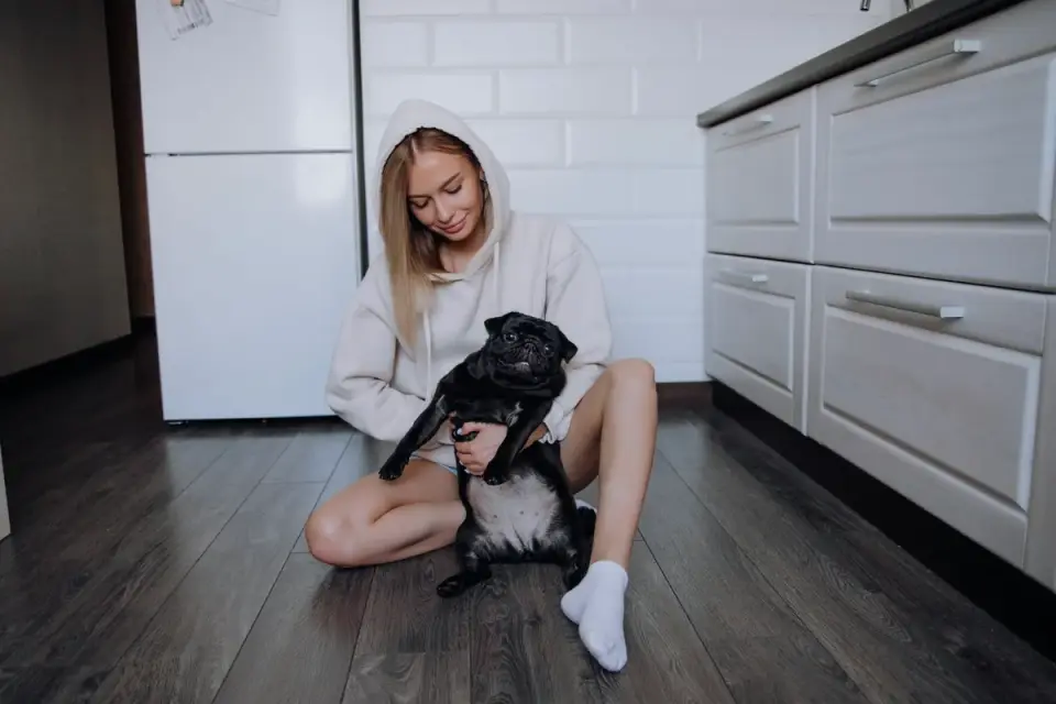 Dog in kitchen with owner