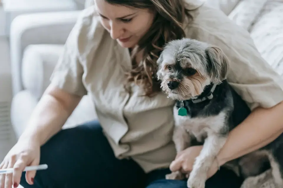 Dog in kitchen with owner