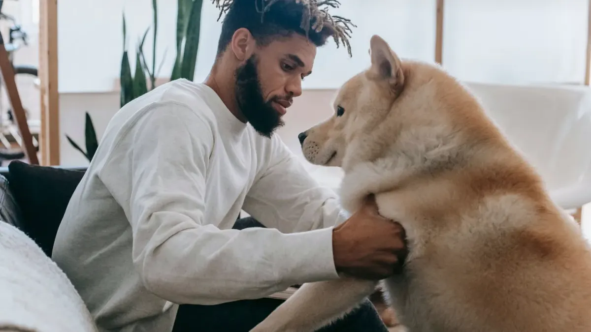 Dog in kitchen with owner