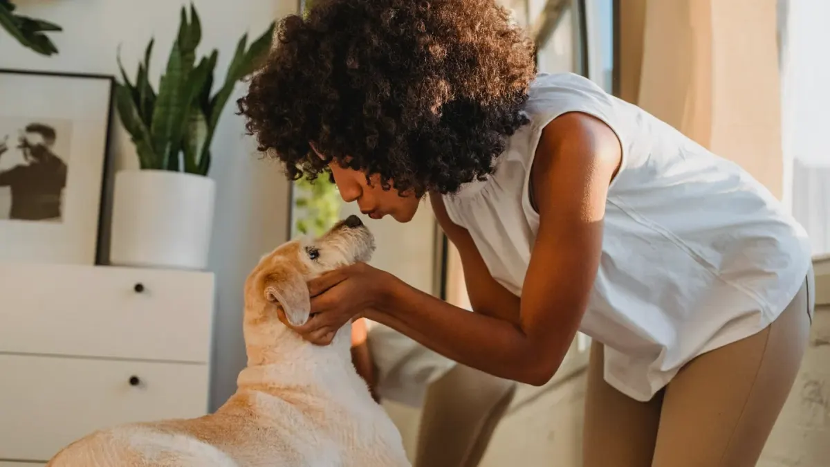 Dog in kitchen with owner