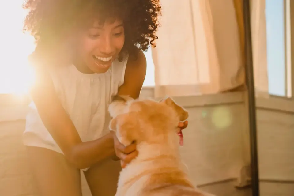 Dog in kitchen with owner