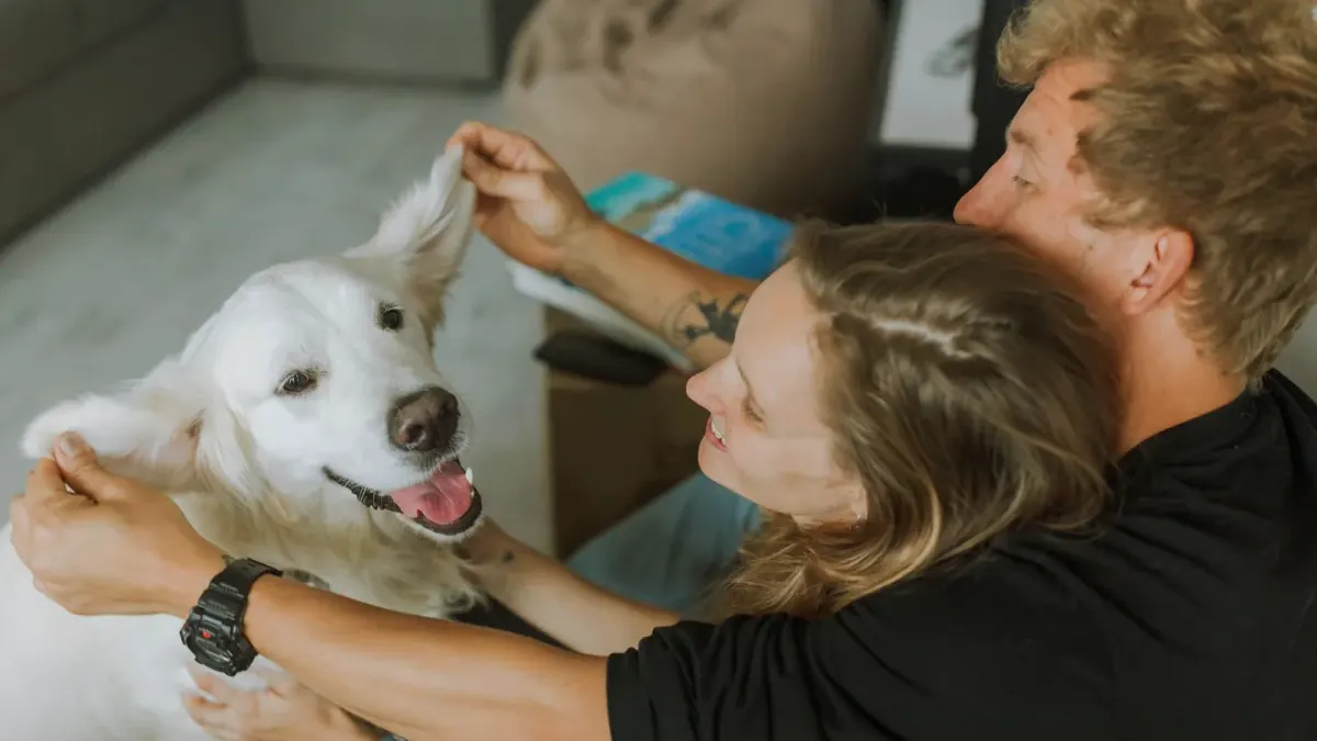 Dog owner home