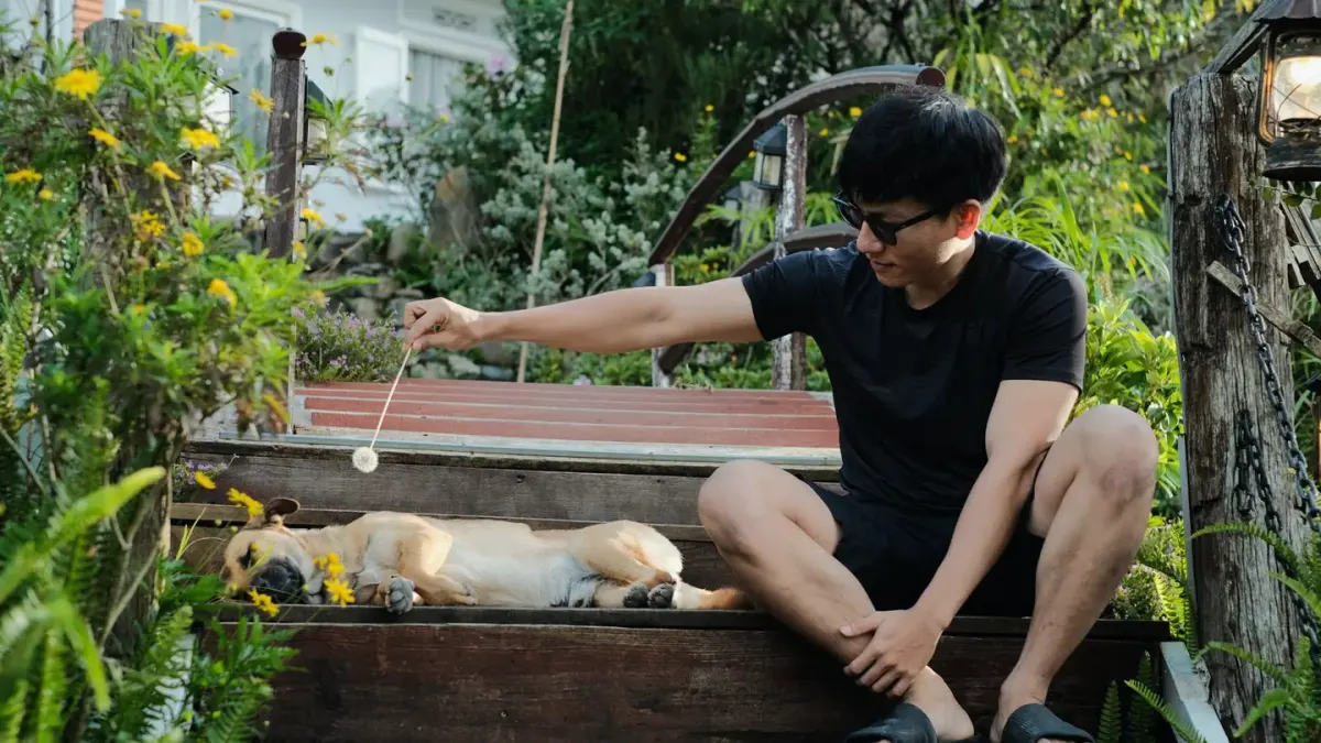 Dog owner preparing a meal