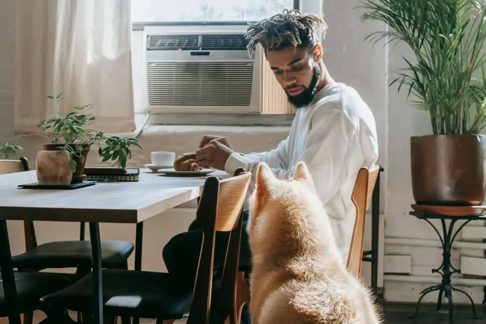 Dog owner preparing a meal