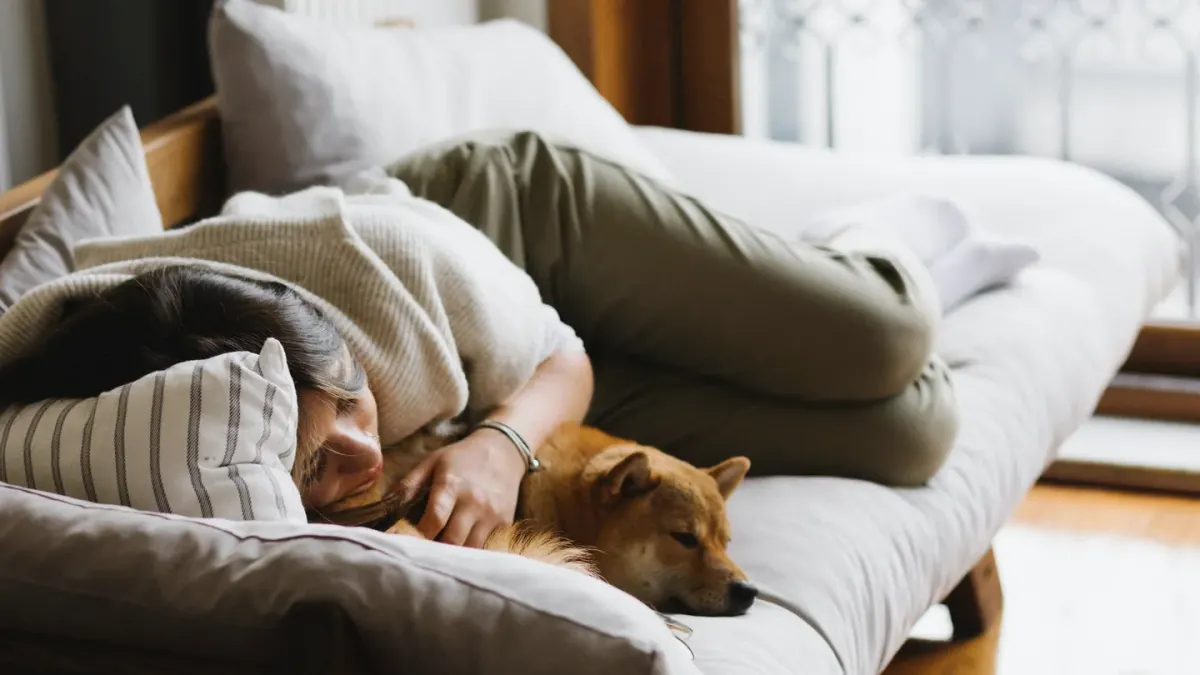 Dog resting beside an owner