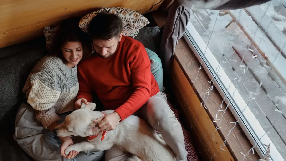 Dog sleeping cozy home