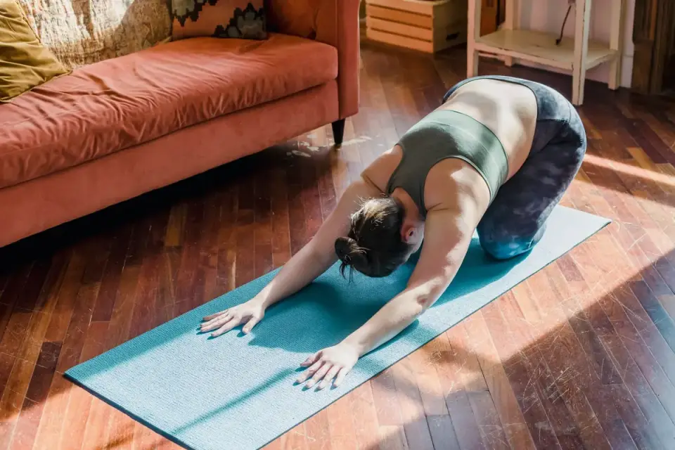 Dog stretching indoors