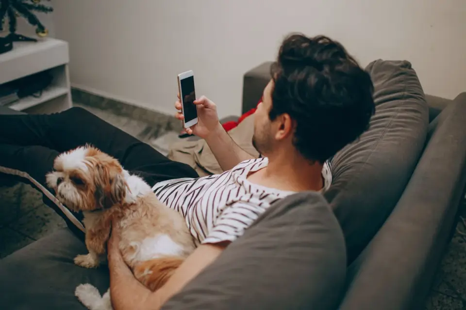 Dog with an owner at home