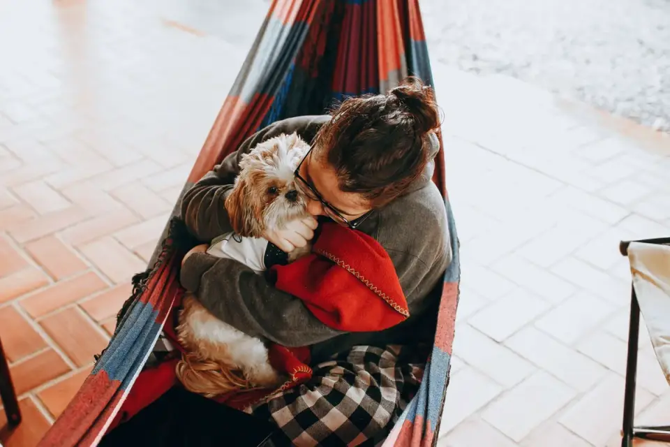 Dog with an owner at home