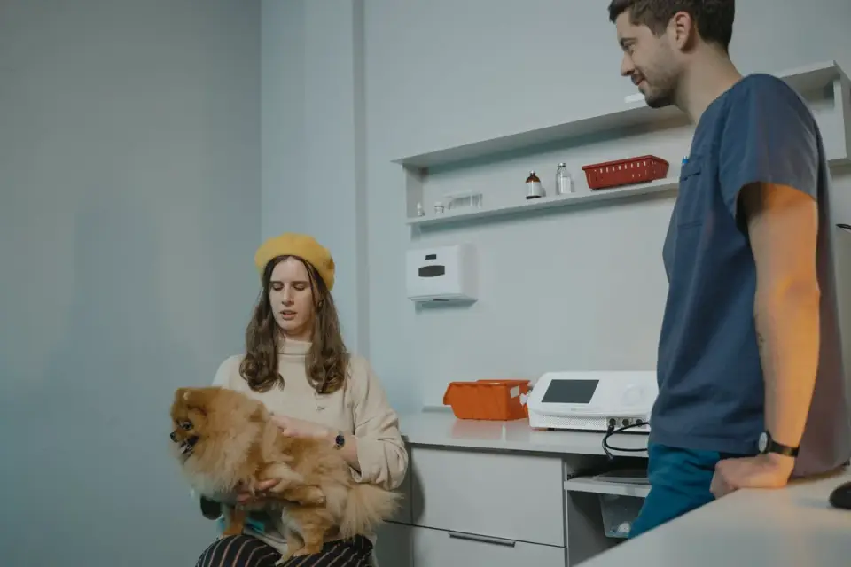 Owner petting and talking to a dog while a veterinarian examines it on the table