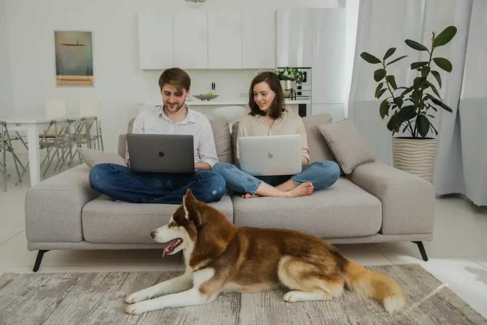 Owner sitting on the floor next to a Siberian Husky in a living room