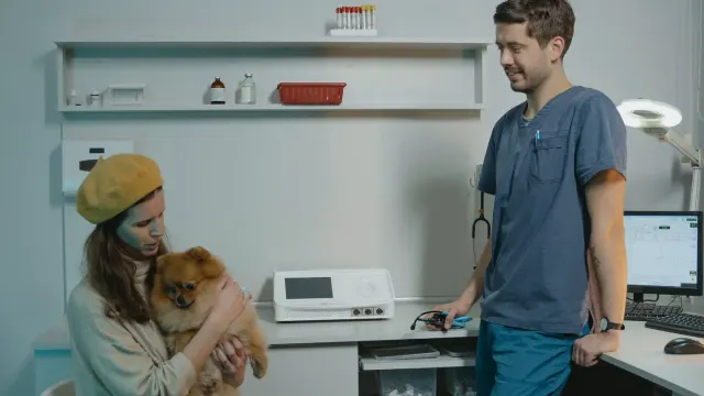 Relaxed dog sitting next to its owner in a calm, bright veterinary waiting area