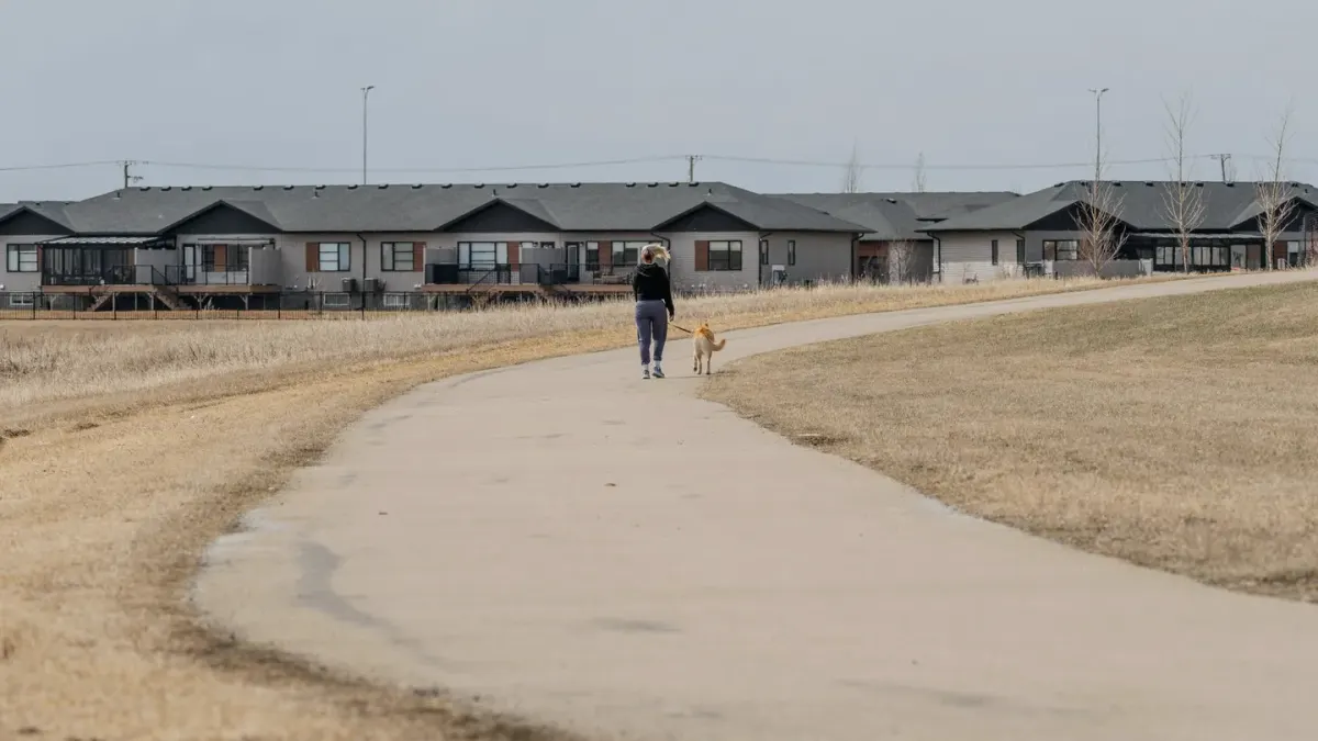 Senior dog walking with an owner