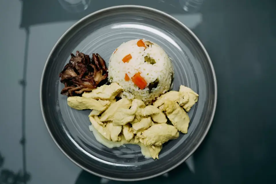 Small pieces of plain cooked chicken breast in a dog&#x27;s bowl